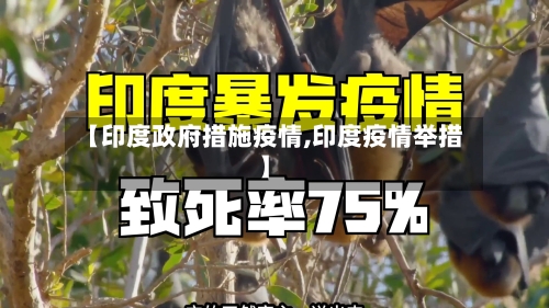 【印度政府措施疫情,印度疫情举措】-第2张图片