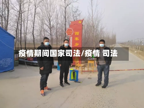 疫情期间国家司法/疫情 司法-第2张图片