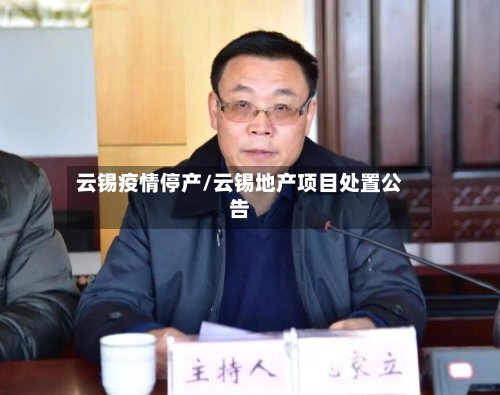 云锡疫情停产/云锡地产项目处置公告-第3张图片