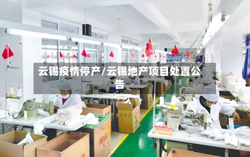 云锡疫情停产/云锡地产项目处置公告-第2张图片