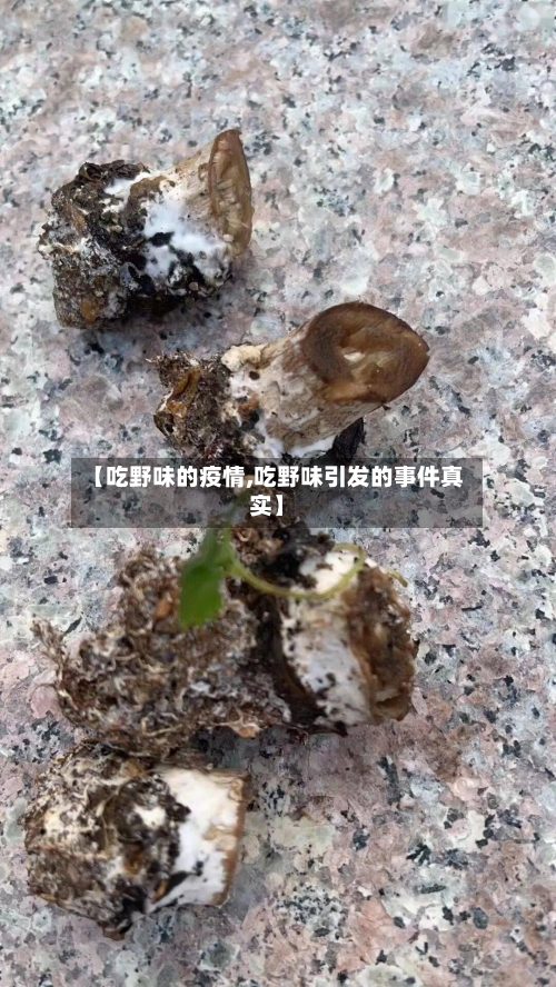 【吃野味的疫情,吃野味引发的事件真实】