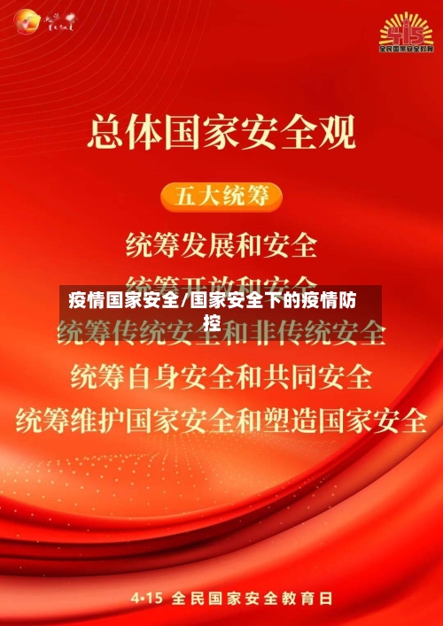 疫情国家安全/国家安全下的疫情防控