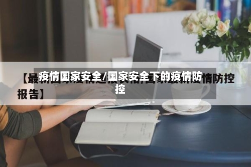 疫情国家安全/国家安全下的疫情防控-第3张图片