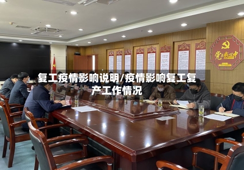 复工疫情影响说明/疫情影响复工复产工作情况-第3张图片