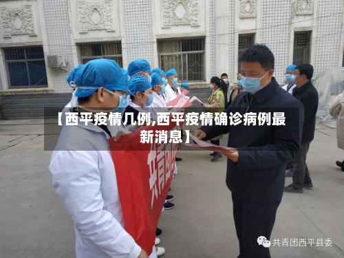 【西平疫情几例,西平疫情确诊病例最新消息】