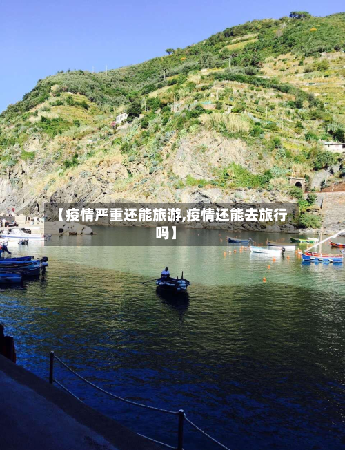 【疫情严重还能旅游,疫情还能去旅行吗】-第3张图片
