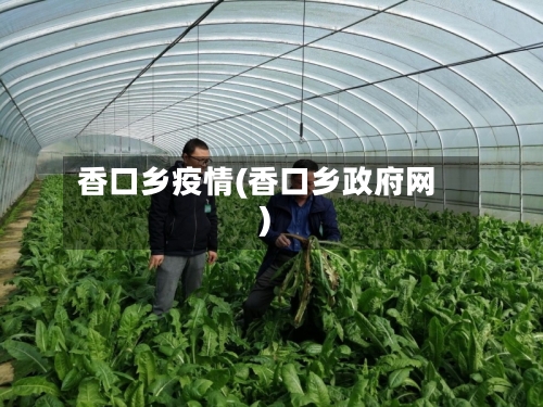 香口乡疫情(香口乡政府网)