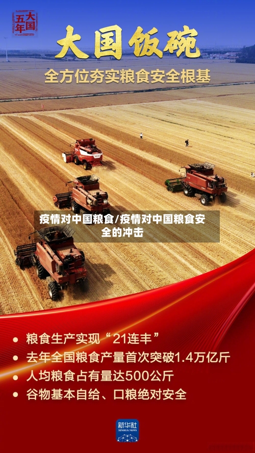 疫情对中国粮食/疫情对中国粮食安全的冲击