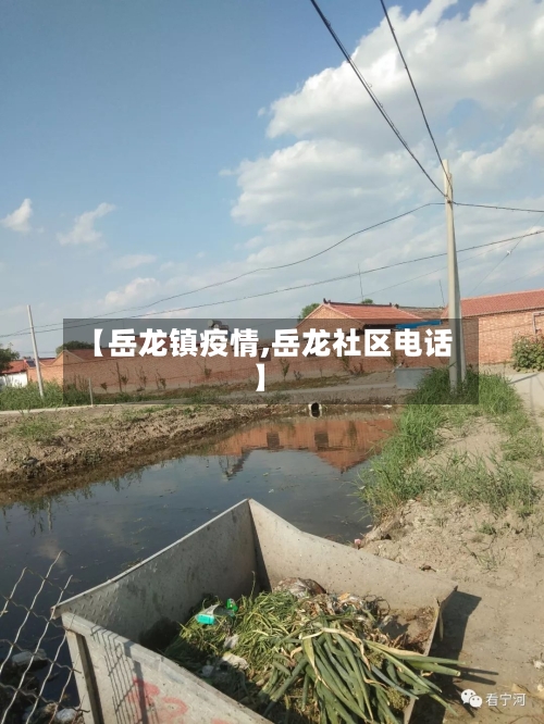 【岳龙镇疫情,岳龙社区电话】-第2张图片