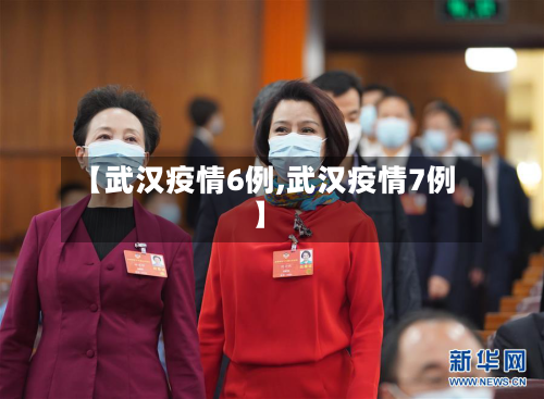 【武汉疫情6例,武汉疫情7例】-第2张图片
