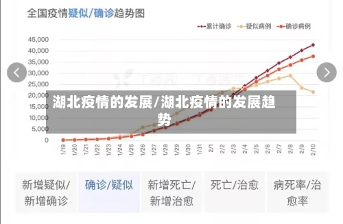 湖北疫情的发展/湖北疫情的发展趋势-第2张图片