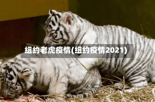 纽约老虎疫情(纽约疫情2021)-第2张图片