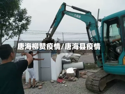 唐海柳赞疫情/唐海县疫情