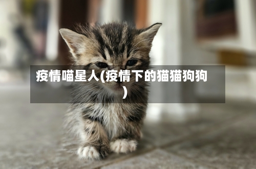 疫情喵星人(疫情下的猫猫狗狗)