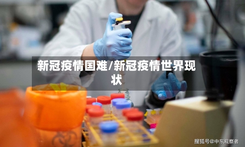 新冠疫情国难/新冠疫情世界现状