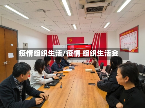 疫情组织生活/疫情 组织生活会
