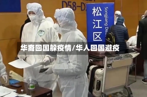 华裔回国躲疫情/华人回国避疫-第2张图片