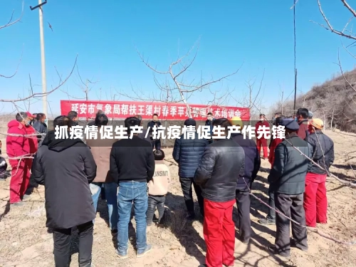 抓疫情促生产/抗疫情促生产作先锋
