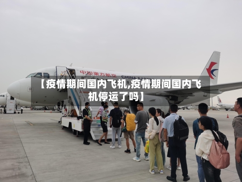 【疫情期间国内飞机,疫情期间国内飞机停运了吗】-第2张图片