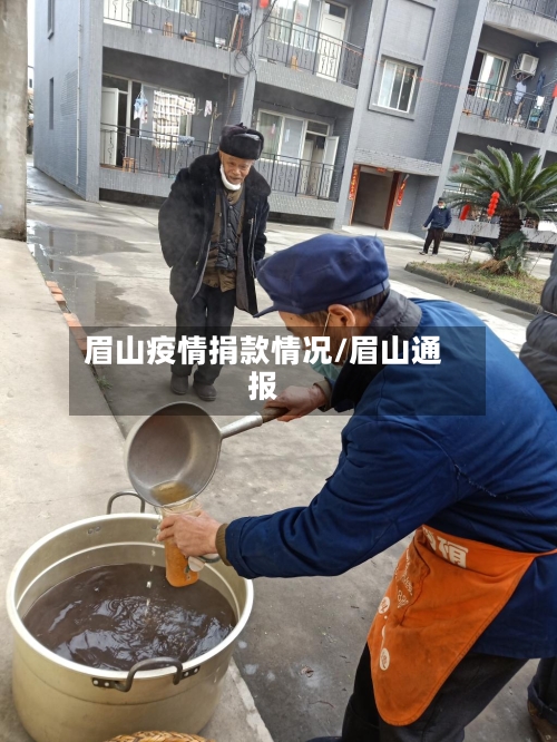 眉山疫情捐款情况/眉山通报