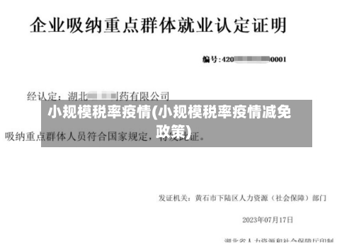 小规模税率疫情(小规模税率疫情减免政策)-第2张图片