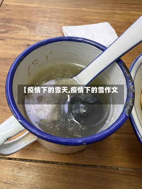 【疫情下的雪天,疫情下的雪作文】