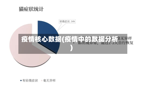 疫情核心数据(疫情中的数据分析)