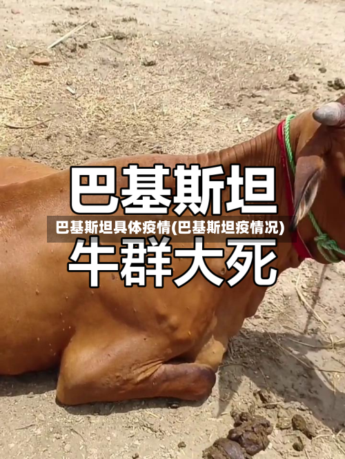 巴基斯坦具体疫情(巴基斯坦疫情况)-第3张图片