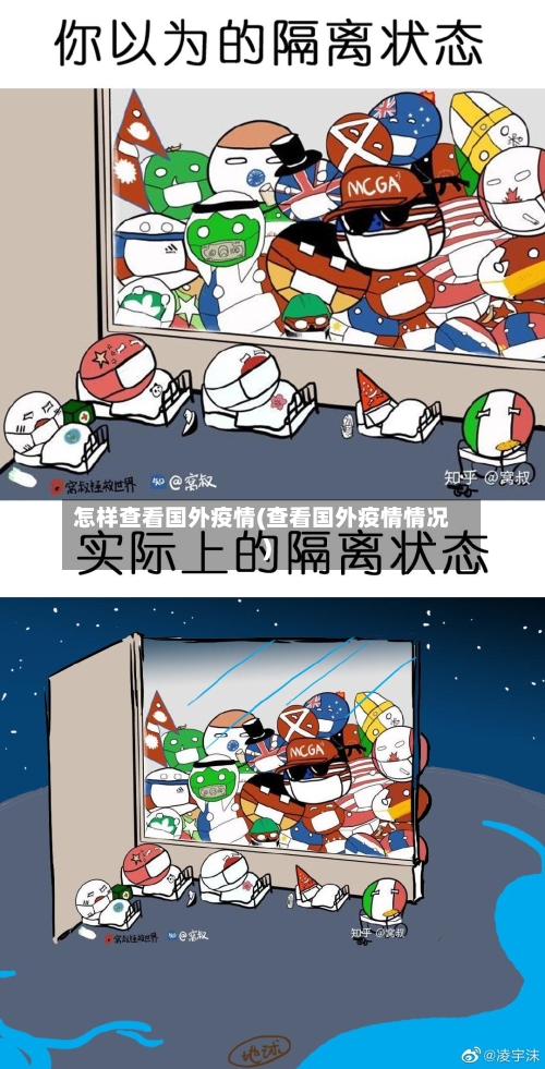 怎样查看国外疫情(查看国外疫情情况)