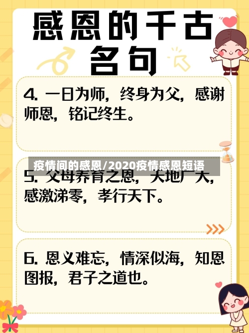 疫情间的感恩/2020疫情感恩短语-第2张图片