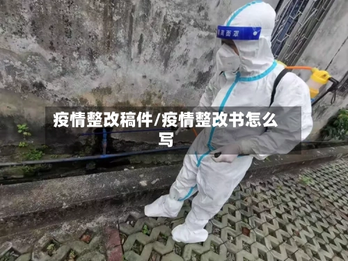 疫情整改稿件/疫情整改书怎么写-第2张图片