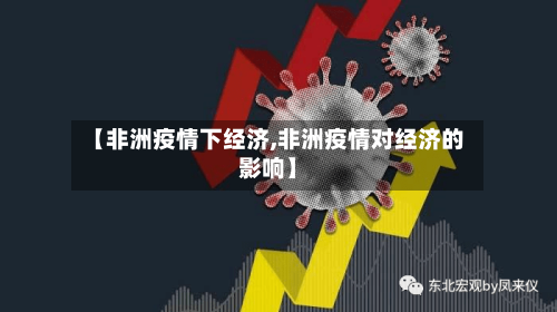 【非洲疫情下经济,非洲疫情对经济的影响】
