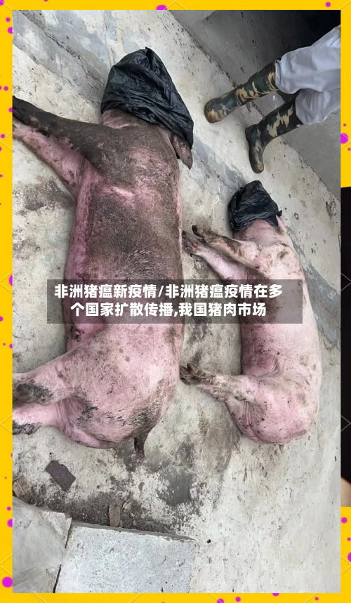 非洲猪瘟新疫情/非洲猪瘟疫情在多个国家扩散传播,我国猪肉市场