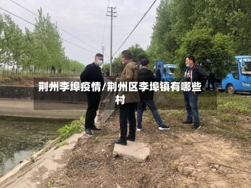 荆州李埠疫情/荆州区李埠镇有哪些村-第2张图片