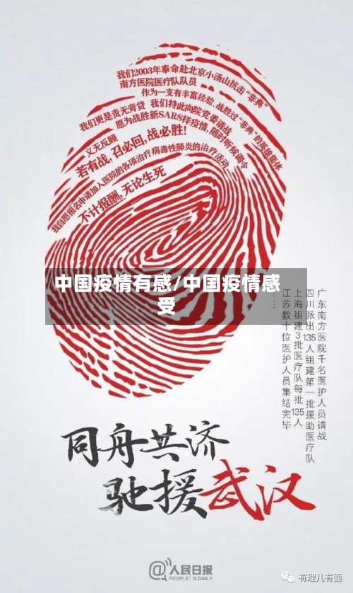 中国疫情有感/中国疫情感受-第3张图片