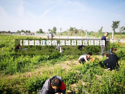 【蒲城陈庄疫情,蒲城县陈庄镇新闻】