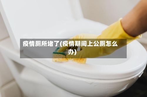 疫情厕所堵了(疫情期间上公厕怎么办)-第2张图片