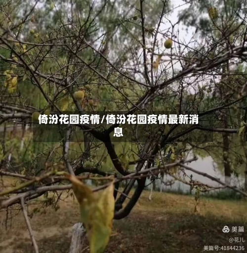 倚汾花园疫情/倚汾花园疫情最新消息-第3张图片