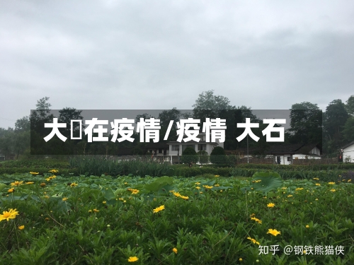 大汖在疫情/疫情 大石-第2张图片
