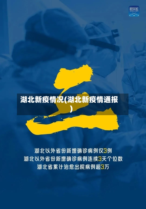 湖北新疫情况(湖北新疫情通报)