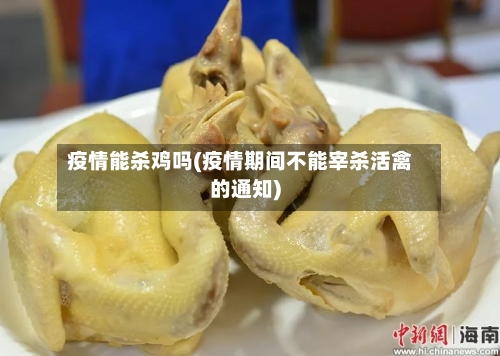 疫情能杀鸡吗(疫情期间不能宰杀活禽的通知)
