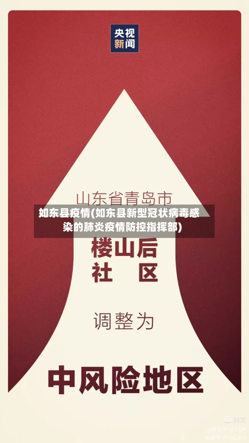 如东县疫情(如东县新型冠状病毒感染的肺炎疫情防控指挥部)-第2张图片