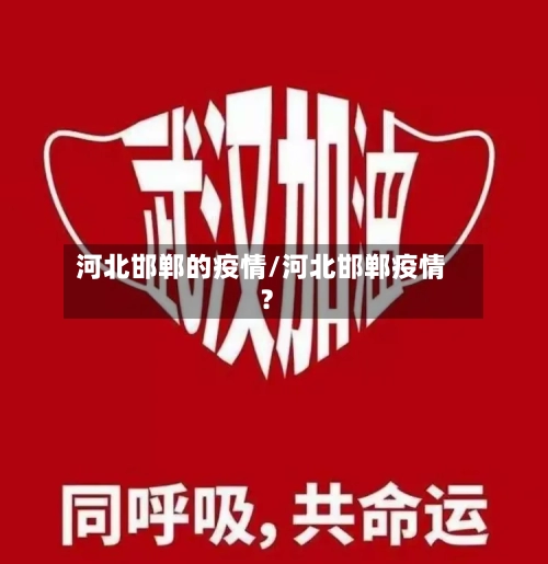 河北邯郸的疫情/河北邯郸疫情?-第2张图片