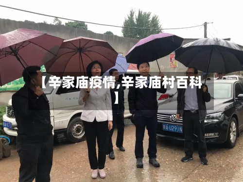 【辛家庙疫情,辛家庙村百科】
