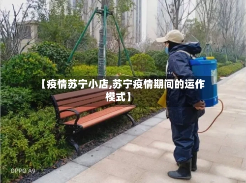 【疫情苏宁小店,苏宁疫情期间的运作模式】