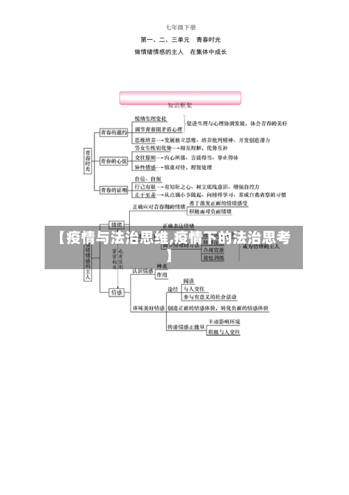 【疫情与法治思维,疫情下的法治思考】-第2张图片