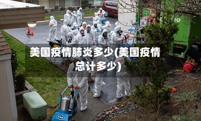美国疫情肺炎多少(美国疫情总计多少)-第3张图片
