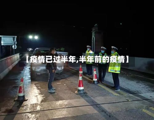 【疫情已过半年,半年前的疫情】