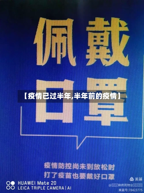 【疫情已过半年,半年前的疫情】-第2张图片