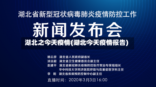 湖北之今天疫情(湖北今天疫情报告)-第2张图片